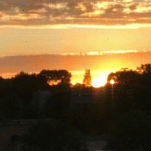 Meet your Posher, Jared